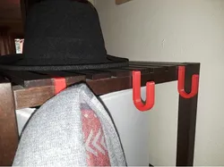 Hook for IKEA MOLGER
