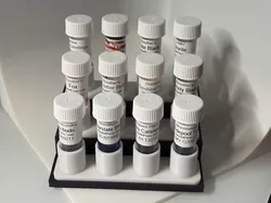Ink Sample holder display - Free 3D Print Model