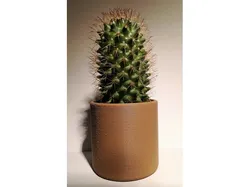 Basic minimalist planter