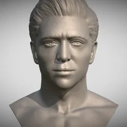 Handsome man bust for 3D printing TYPE 3