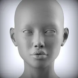 65 3D HEAD FACE FEMALE CHARACTER FEMALE TEENAGER PORTRAIT DOLL BJD LOW-POLY 3D MODEL