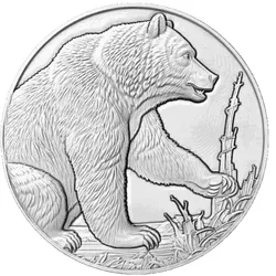 BEAR 2