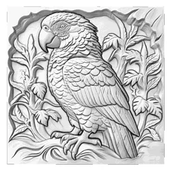 MACAW