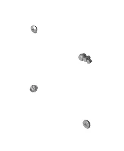 Magnetic Mushrooms - Fidget with Magnetics, Joystick, Slider, Pop Fidgets - Pocket Plants