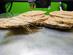 Pancake-free Stegosaurus Skeleton
