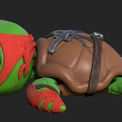 Super Turtle Raph