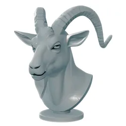 Bold Goat Head with Curled Horns