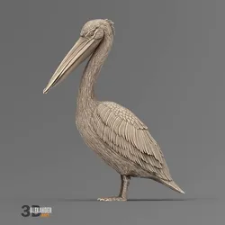 Pelican 3D print model