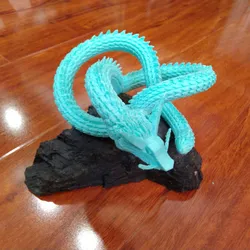 Torus knot dragon