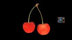 CC0 サクランボ Cherry