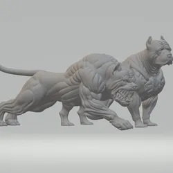 Dog muscles