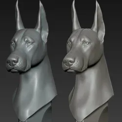 Doberman
