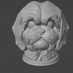 realistic bust shihtzu dog
