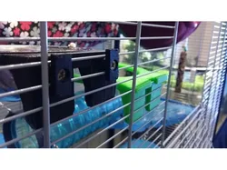 Feeding cup holder (cage Mount)