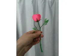 Rose and thorn stem