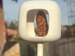 Bird feeder on the stick - Free 3D Print Model