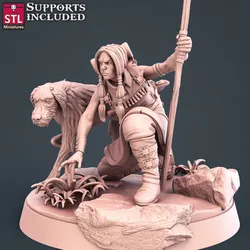 Explorer D