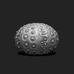 Sea Urchin 03 - STL for 3D Print - Aquarium 3D print model