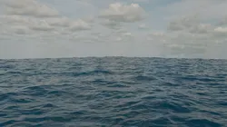 Blender Infinitely   Animated ocean ready for render  3D model