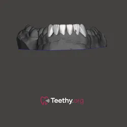 Teeth