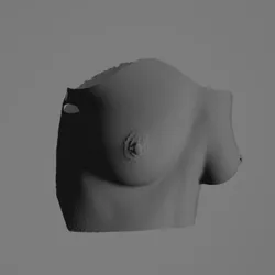 3D Scanned 19 year old boobs and pierced nipples
