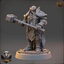 Chlodvig du Marteau Lourd - The Paladins of The Silver Lion