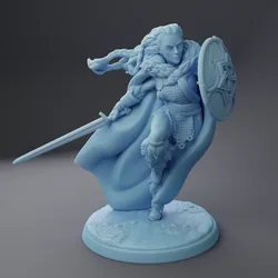 Hildë the Shieldmaiden ( Female Paladin with Sword & Shield / Cleric / Fighter / Guardian / Warrior )