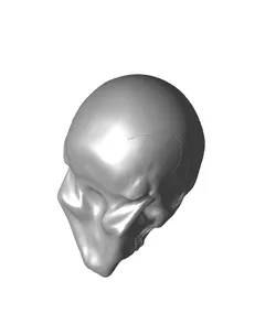 Male Skull Sculpt, Sculpture, Various Versions