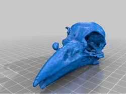 Raven Skull -BC8130