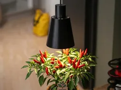 Ventilated Grow Light Shroud With Reflector - Free 3D Print Model