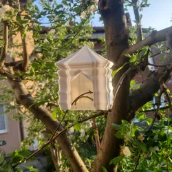 Birdshouse: Indian