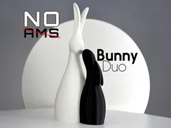 Bunny Duo - Free 3D Print Model