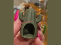 Jumping Spider Cactus Hide - Free 3D Print Model