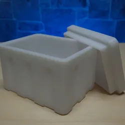 Mini Cooler Box