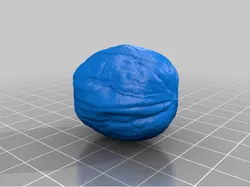 Walnut - 3D Scan