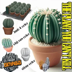 4 Color AMS Desk Cactus B - The Plant You Can't Kill! - no support