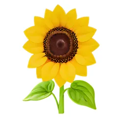 Bright Sunflower Model