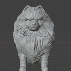 Pomeranian Spitz  3D print