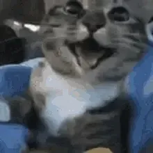 Suporte Alexa Echo Pop Smile Cat