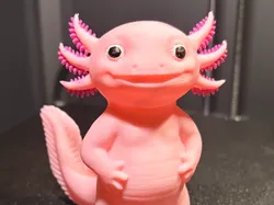Axolotl - Free 3D Print Model