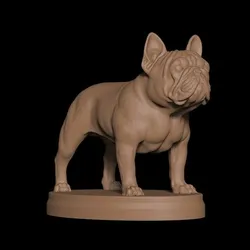 French Bulldog