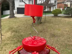 Humming Bird Feeder Ant Moat - Free 3D Print Model