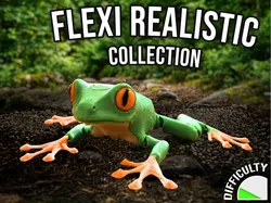 Realistic Flexi Frog - Free 3D Print Model