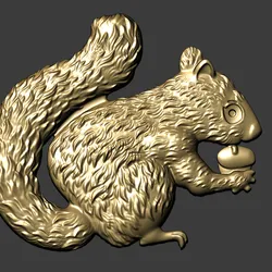 Squirrel squirrel