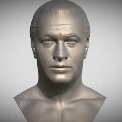 Steven Seagal bust for 3D printing