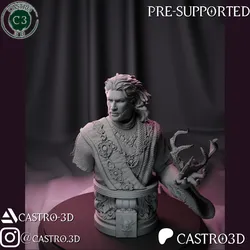 Gale - The Waterdeep Mage - Baldurs Gate 3 Bust Collection 3D print model