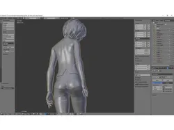 2B v0.31R
