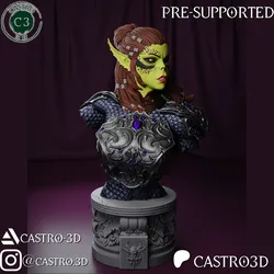 LaeZel - Champion of Vlaakith - Baldurs Gate 3 Bust Collection 3D print model