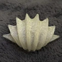 Shell Bowl