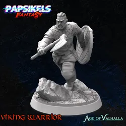 VIKING WARRIOR